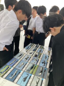 ニュースの写真4