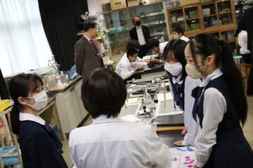 ニュースの写真12
