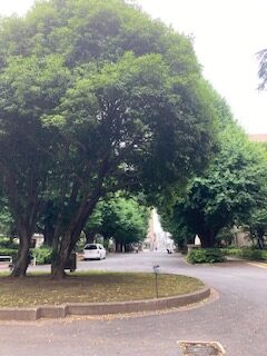ニュースの写真6