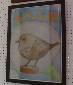 ニュースの写真12
