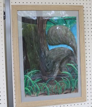 ニュースの写真14