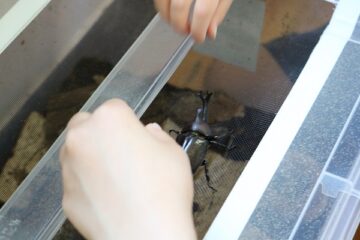 ニュースの写真9