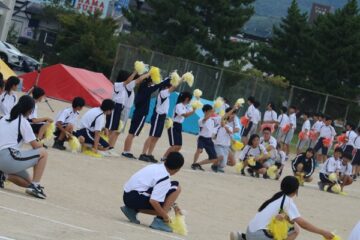 ニュースの写真