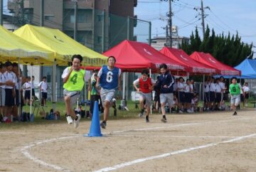 ニュースの写真12