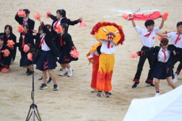 ニュースの写真29