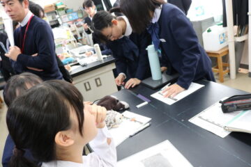 ニュースの写真12
