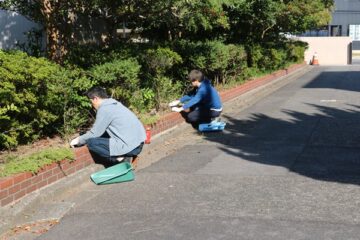 ニュースの写真2
