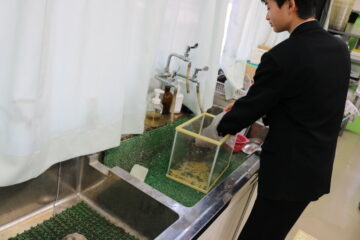 ニュースの写真5