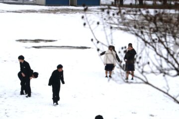 ニュースの写真2