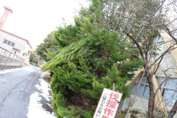 ニュースの写真1