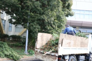 ニュースの写真2