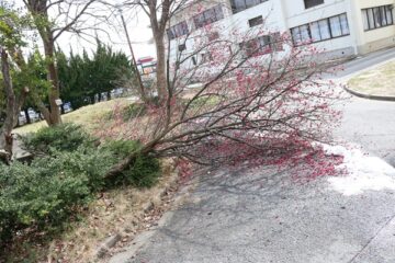 ニュースの写真5