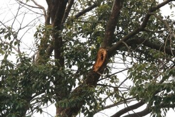 ニュースの写真10
