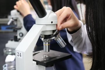 ニュースの写真23