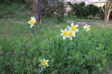 ニュースの写真4