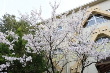 ニュースの写真5