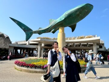 ニュースの写真13