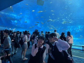 ニュースの写真2