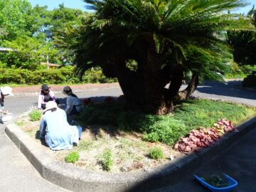 ニュースの写真1