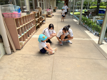 ニュースの写真1