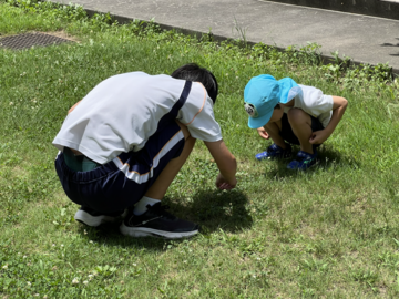 ニュースの写真8