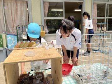 ニュースの写真9