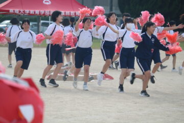 ニュースの写真10