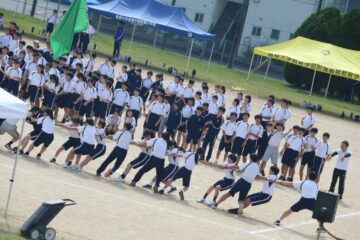 ニュースの写真12
