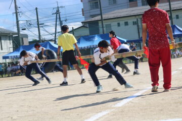 ニュースの写真7