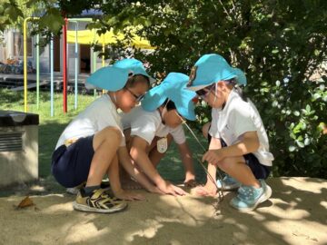 ニュースの写真